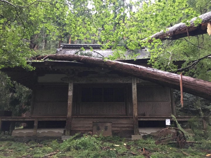 巨木が倒れて半壊した金堂＝高山寺提供