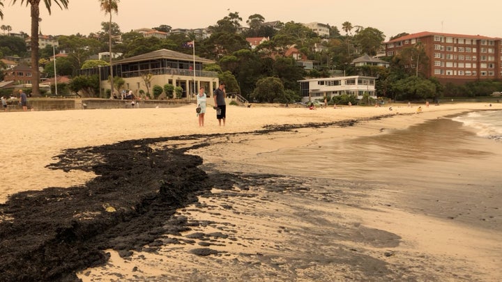 Ash from bushfires that affected New South Wales in the last days is seen on Balmoral Beach in Sydney, Australia, December 7, 2019, in this still image obtained from a social media video. IMOGEN BRENNAN/via REUTERS