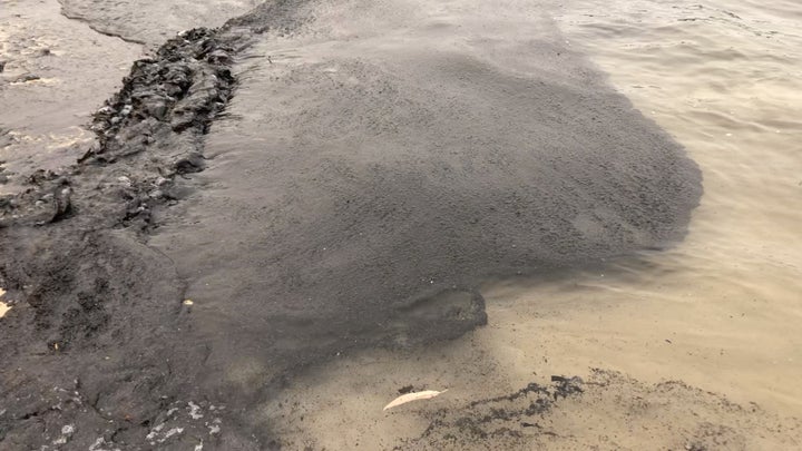 Ash from bushfires that affected New South Wales in the last days is seen in the water on Balmoral Beach in Sydney, Australia, December 7, 2019, in this still image obtained from a social media video. IMOGEN BRENNAN/via REUTERS THIS IMAGE HAS BEEN SUPPLIED BY A THIRD PARTY. MANDATORY CREDIT. NO RESALES. NO ARCHIVES.