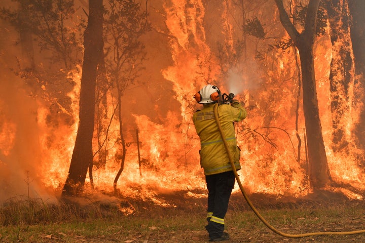 Bushfires have raged across New South Wales for over a month.