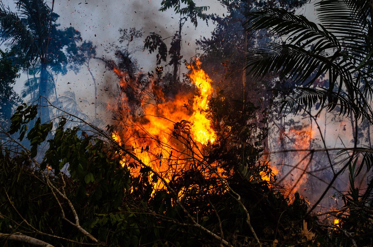 A fire in the Amazon rainforest in rural Novo Progresso, Para, Brazil, in August 2019. August saw the highest rates of forest destruction and burnings in the last nine years.