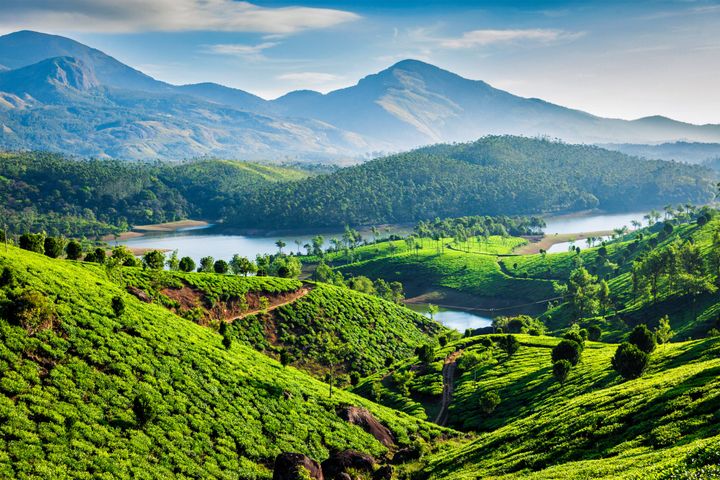 The tea plantations and Muthirappuzhayar River near Munnar, Kerala.