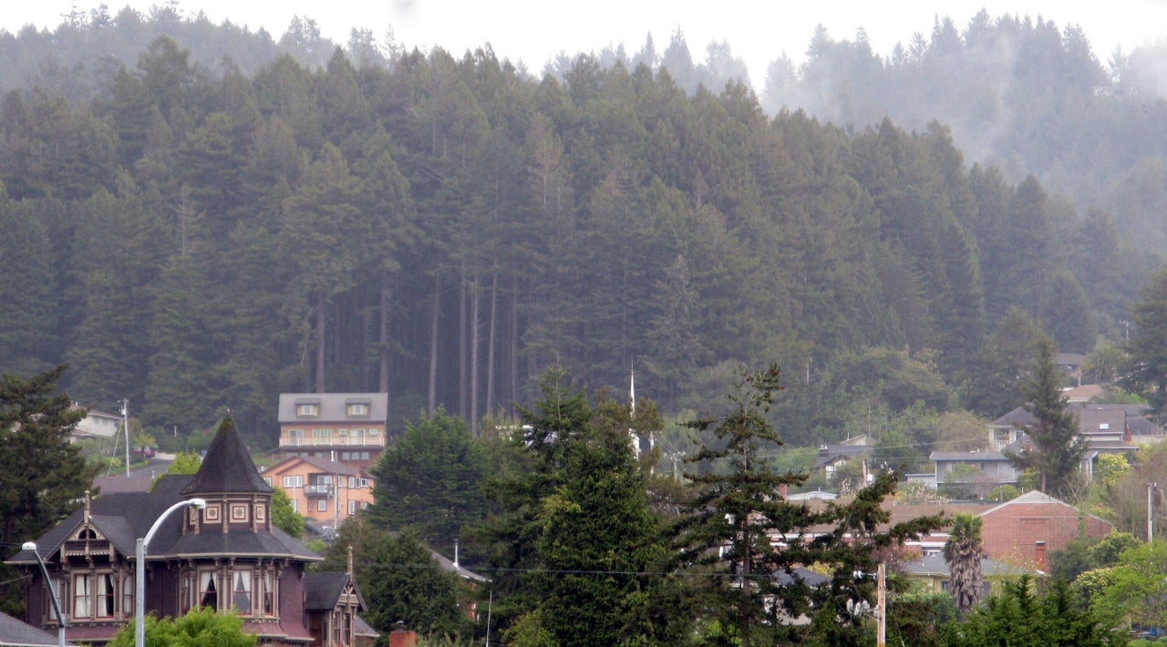 Homes in the hillsides of Arcata, California.