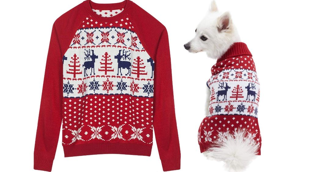dog matching christmas jumper