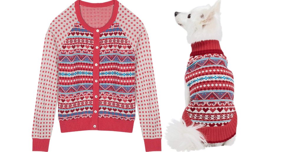 dog and human matching sweaters