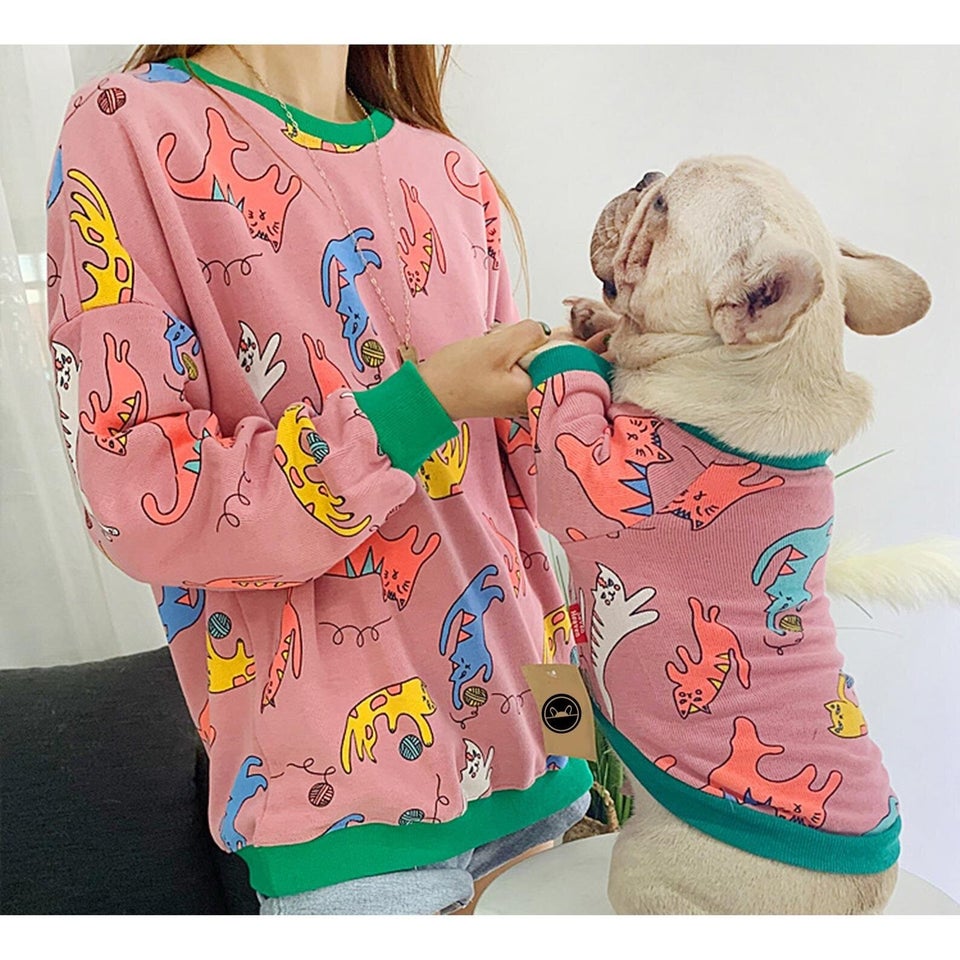 Matching hot sale pet sweaters