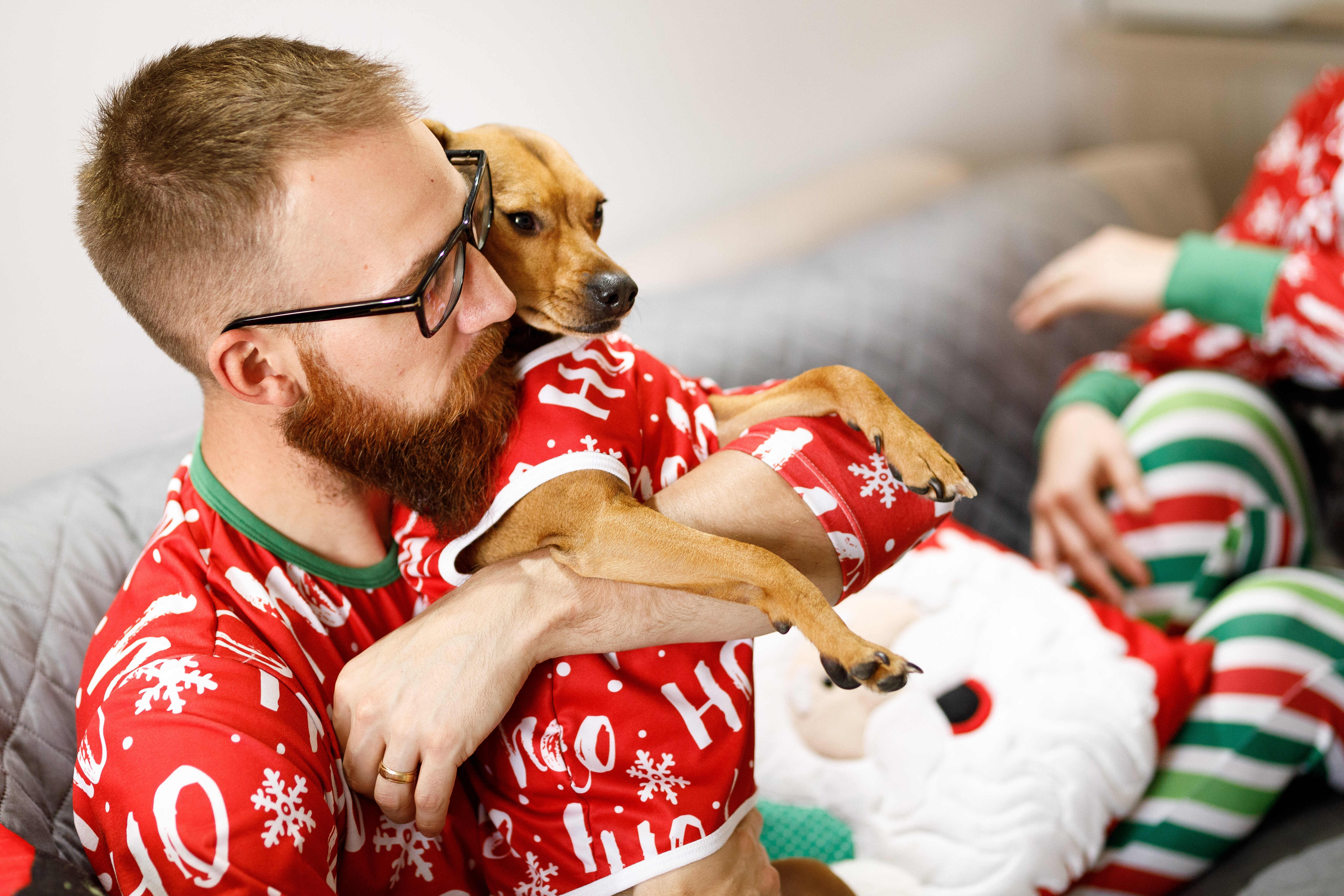 matching christmas sweater for cat and owner