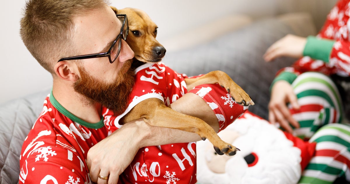 21 Cute Matching Dog Christmas Sweaters For Dogs And Owners