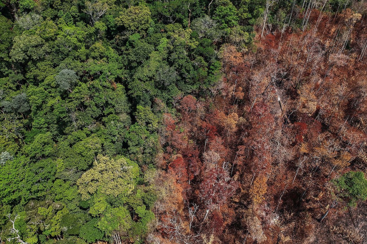 Aerial view of burned areas near Moraes Almeida, a town along a section of the Trans-Amazonian Highway in Itaituba, Para, Brazil, in September 2019.