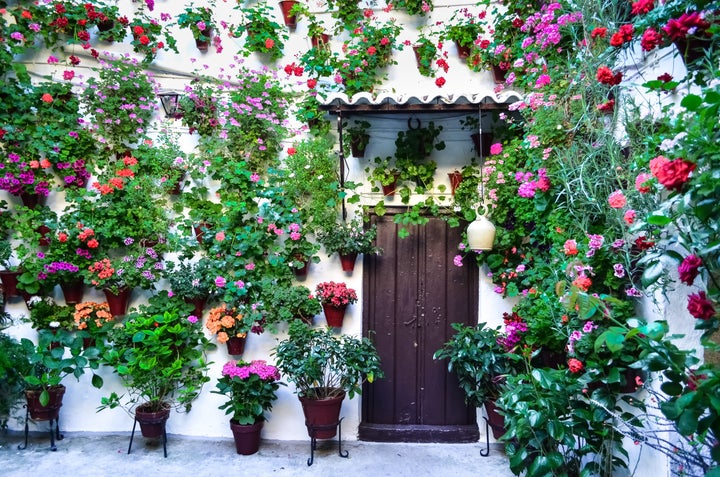 Los patios de Córdoba.