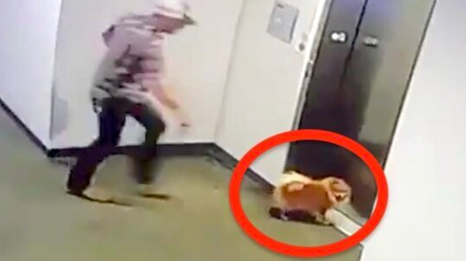 Video Shows Bystander Save Dog With Leash Caught In Elevator Door
