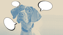 Todo lo que te está diciendo tu perro cada vez que mueve la