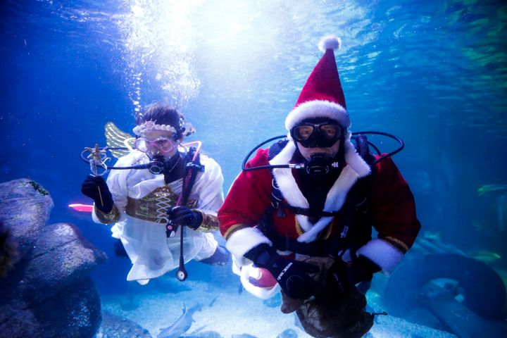 Diver dressed as an angel and as a Santa Claus dive inside a aquarium to feed fishes during a media event at the Seal Life aquarium in Berlin, Thursday, Germany, Dec. 12, 2019. (AP Photo/Markus Schreiber)