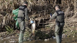 Emergencia ambiental en el río Besòs: numerosos peces muertos tras el incendio en una planta de
