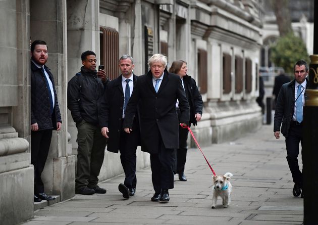 イギリス総選挙を行方を見守る 投票所の犬 飼い主を待つワンちゃんの写真に癒される 画像集 ハフポスト
