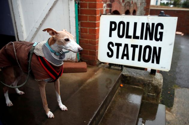 イギリス総選挙を行方を見守る 投票所の犬 飼い主を待つワンちゃんの写真に癒される 画像集 ハフポスト