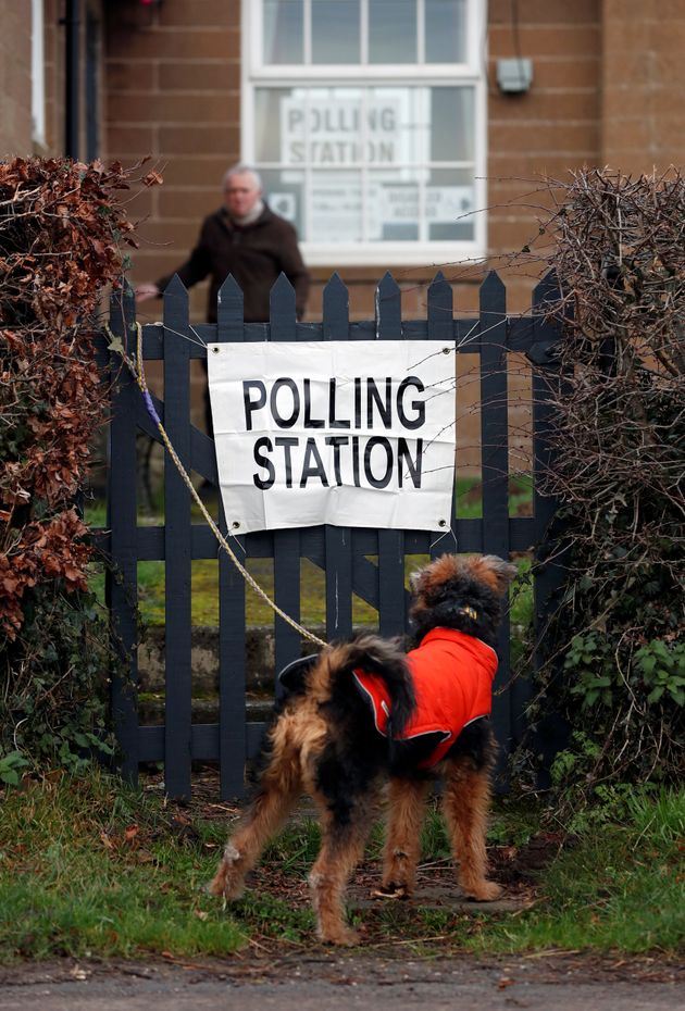 イギリス総選挙を行方を見守る 投票所の犬 飼い主を待つワンちゃんの写真に癒される 画像集 ハフポスト