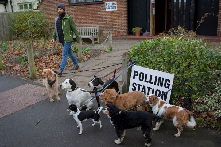 投票所の犬