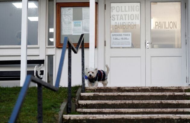 イギリス総選挙を行方を見守る 投票所の犬 飼い主を待つワンちゃんの写真に癒される 画像集 ハフポスト