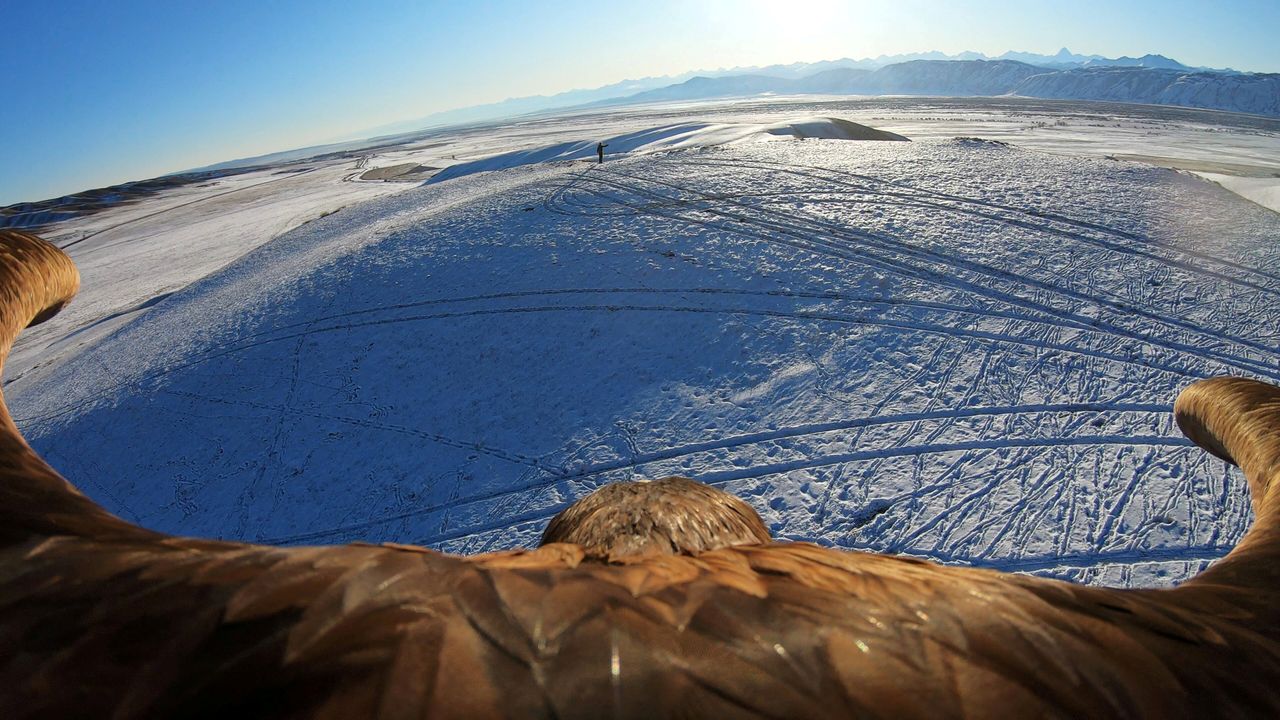 Μία φωτογραφία, από βίντεο, που δείχνει έναν εξημερωμένο αετό να πετάει κατά την διάρκεια παραδοσιακού διαγωνισμού στο κυνήγι, την Δευτέρα, έξω από το χωριό Κεϊνάρ, στην περιοχή Αλμάτι, στο Καζακστάν.
