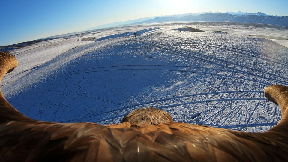 Μία φωτογραφία, από βίντεο, που δείχνει έναν εξημερωμένο αετό να πετάει κατά την διάρκεια παραδοσιακού διαγωνισμού στο κυνήγι, την Δευτέρα, έξω από το χωριό Κεϊνάρ, στην περιοχή Αλμάτι, στο Καζακστάν.