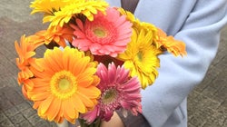 「なんで、女性の先輩はセクハラを受け入れるの？」