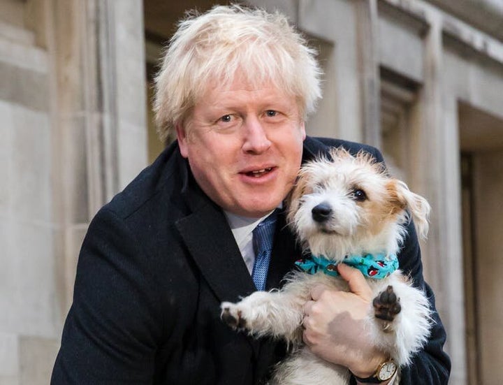 Dylan, le chien de Boris Johnson, est l’un des rares à savoir ce qu’il y a vraiment dans son cœur.