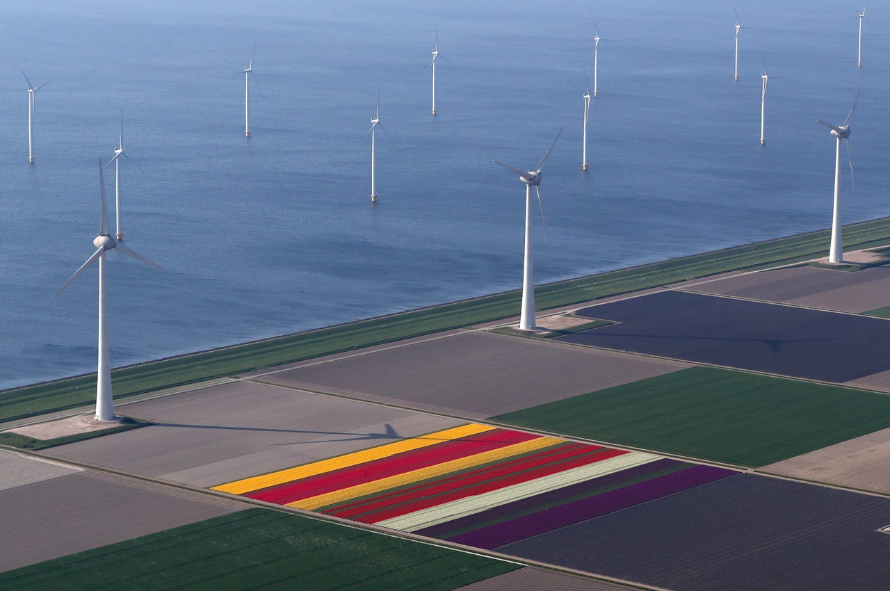 An aerial view of tulip fields and windmills near the city of Creil, Netherlands.