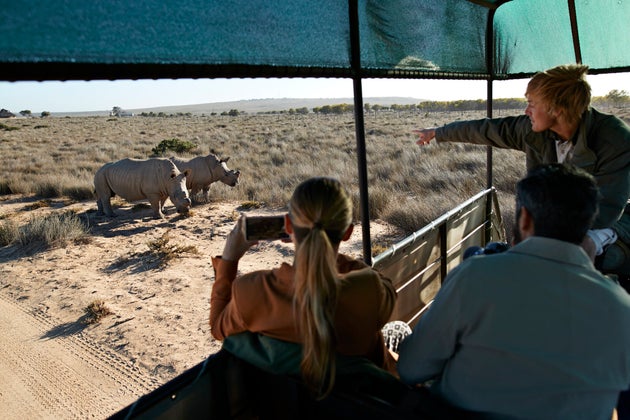 Safari por
