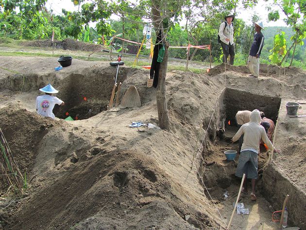 Homo erectus: Στην Ινδονησία τα τελευταία στον κόσμο απολιθώματα του «Ορθιου