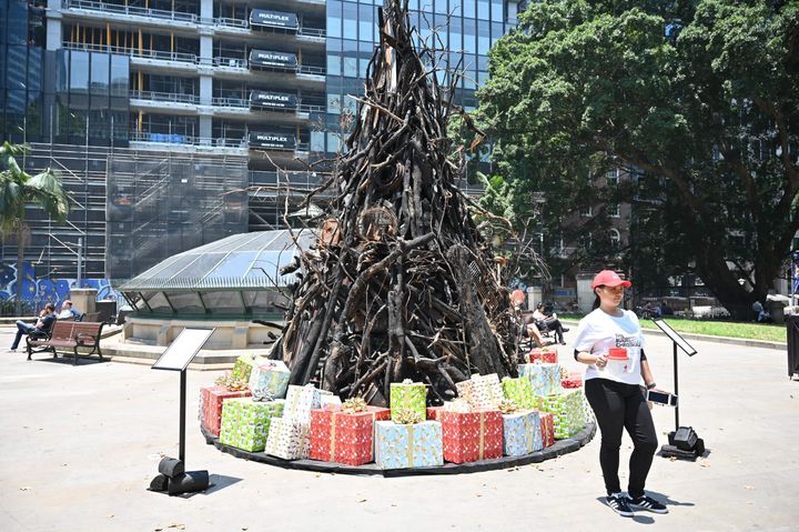 A volunteer collects donations in front of an an installation dubbed 'the Burnt Christmas Tree' to support the Australian Red Cross Disaster Relief and Recovery Fund in Sydney. 