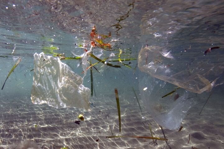 D'ici 2050, on prévoit qu'il y aura plus de plastique dans la mer que de poisson.