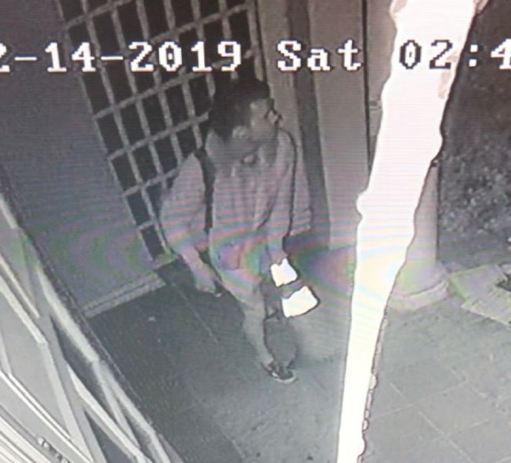 A photo released by Beverly Hills police shows the suspect in a vandalism attack at Nessah Synagogue.