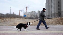 「35センチ以上の犬は禁止、自身で処置しろ」北京市の通知が話題に。その真相は？