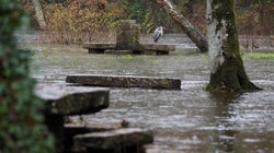 La borrasca 'Elsa' deja tres muertos en España, vientos de 160 km/h e