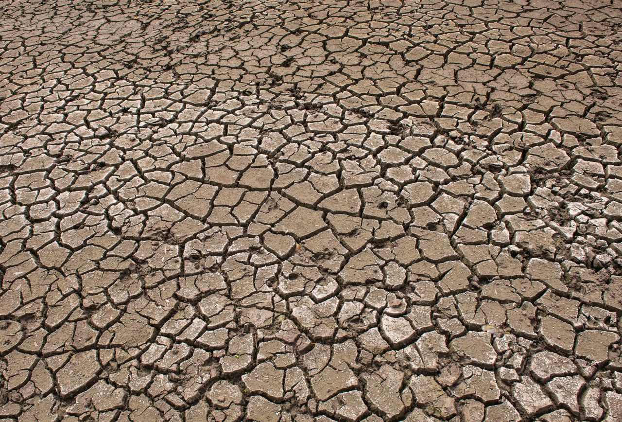 Cracks appear in the dried-out bed of a forest lake in Germany on Aug. 6, 2019. The NOAA said July was the hottest month on Earth since records began in 1880.