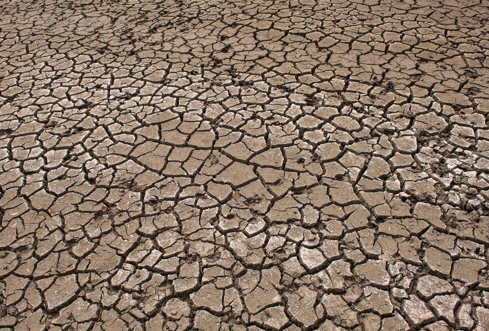 Cracks appear in the dried-out bed of a forest lake in Germany on August 6, 2019. The NOAA said July was the hottest month on Earth since records began in 1880.