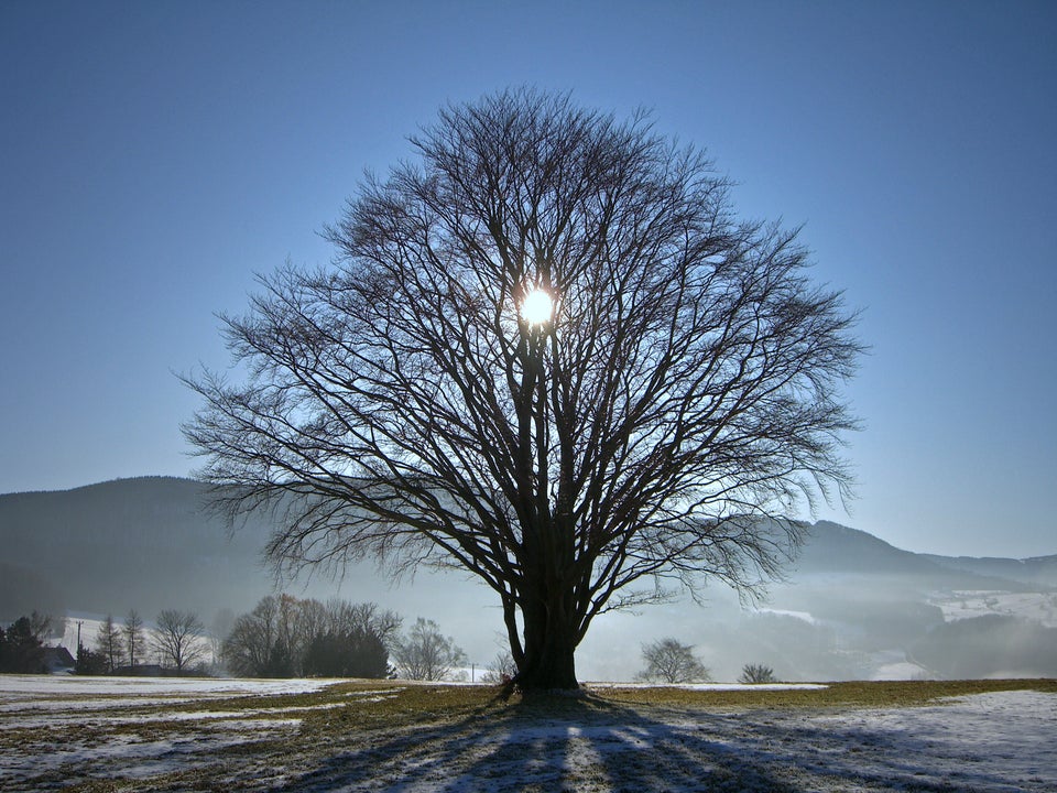 at the Rhoen mountain range in