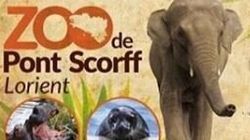 La collecte pour acheter un zoo breton et libérer les animaux a récolté 650.000