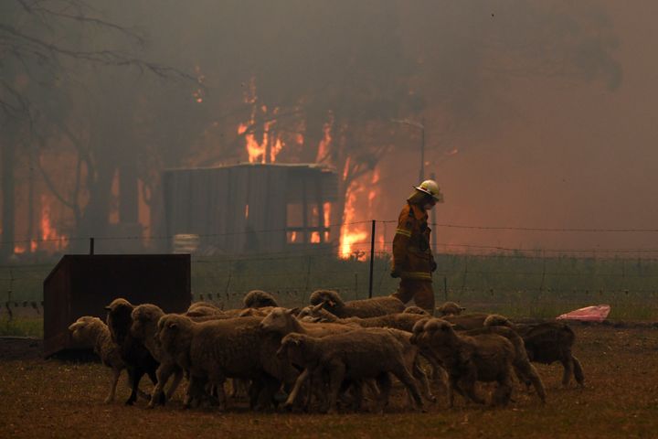 Australia's most populous state of New South Wales declared a 7-day state of emergency Thursday as oppressive conditions fanned nearly 100 wildfires.