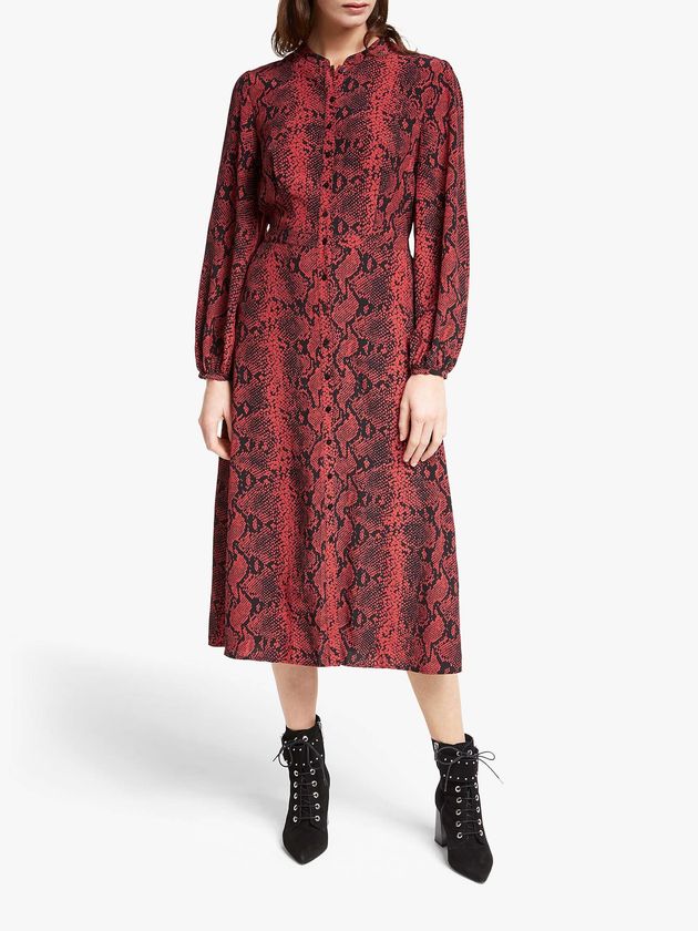 Somerset by Alice Temperley Python Print Shirt Dress