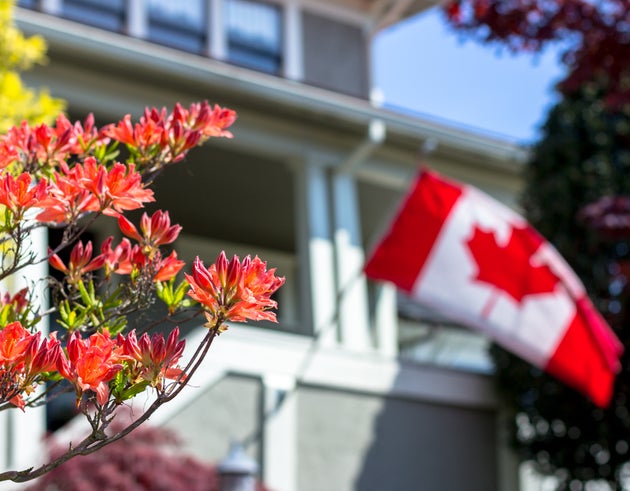 Canadian flag on a house with some pink flowers in the foreground on a sunny day.