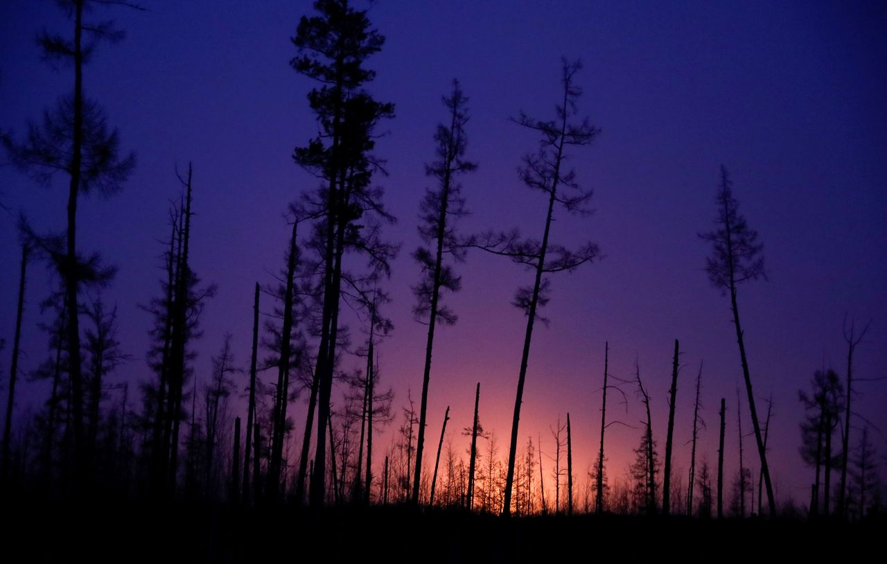Δέντρα που φωτίζονται από τη φλόγα πετρελαϊκής εταιρείας στη Ρωσία, 11 Μαρτίου 2019. 