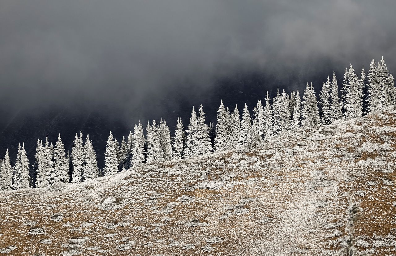 Τα δάση που καλύπτονται από πάχνη σε ένα βουνό έξω από το Αλμάτι, στο Καζακστάν, 6 Νοεμβρίου 2019.