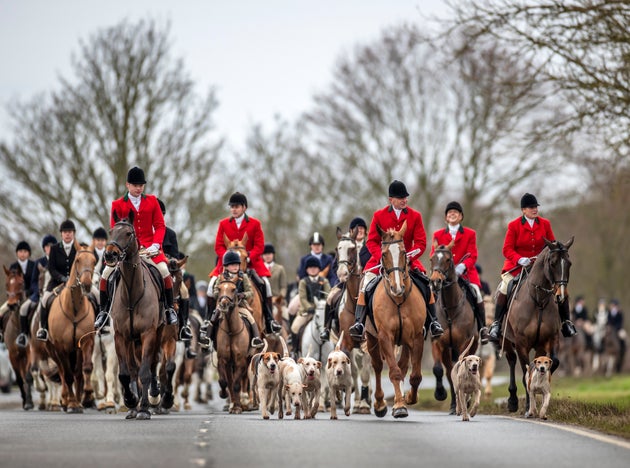 Dozens of Boxing Day Hunts Ride Out As Campaigners Call For Tougher Laws