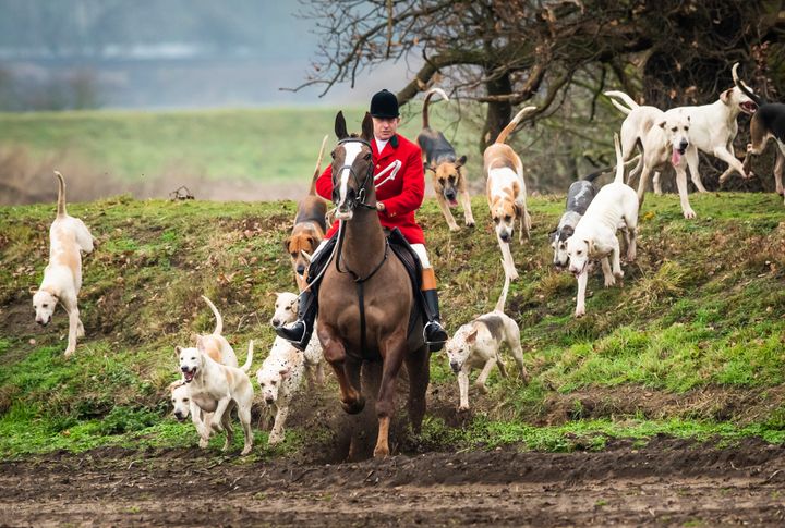Members of the Grove and Rufford Hunt, formed in 1952.