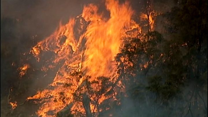 Fires burn in Bundoora, Victoria state. 