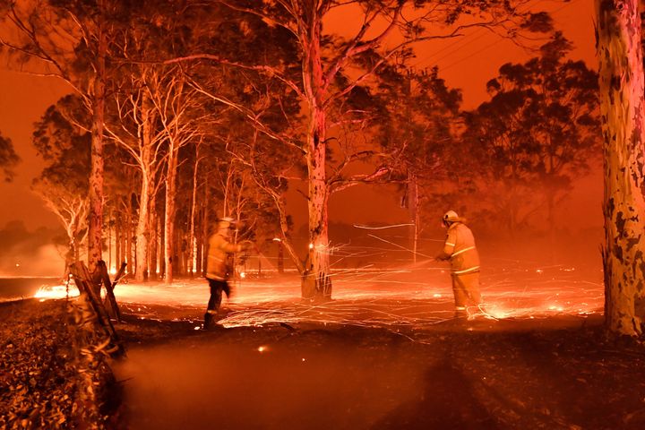 Firefighters hose down trees as they battle bushfires around the town of Nowra in the Australian state of New South Wales on Dec. 31, 2019.