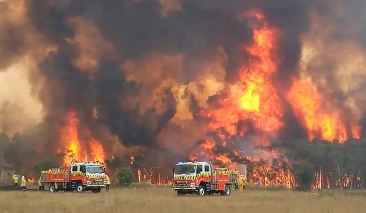 Firefighters try to protect homes around Charmhaven, New South Wales, as wildfires burn across Australia's two most-populous states.