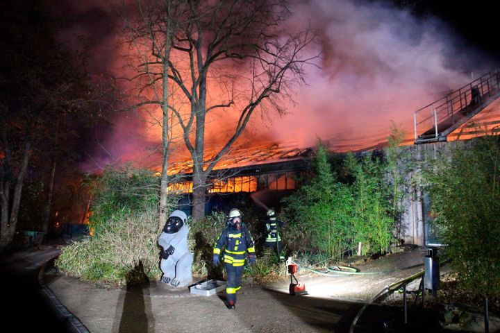 A fire at a zoo in western Germany killed a large number of animals in the early hours of the new year, authorities said.